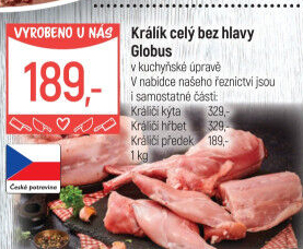 Králík Globus