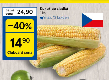 Kukuřice klas