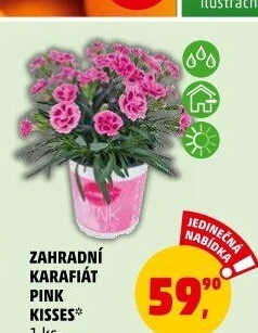 Karafiát