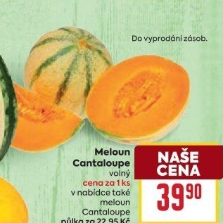 Meloun Cantaloupe