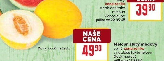 Meloun medový žlutý