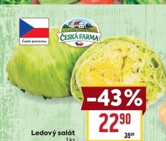 Salát ledový Česká farma