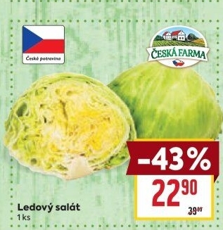 Salát ledový Česká farma