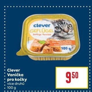 Vanička pro kočkyClever
