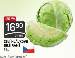 Zelí hlávkové bílé