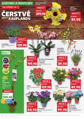 akční leták Kaufland 31.7.2024-6.8.2024
