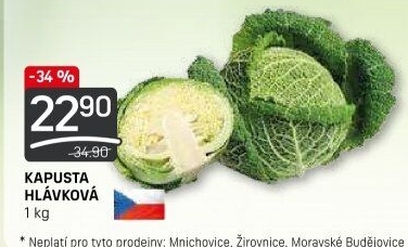 Kapusta hlávková