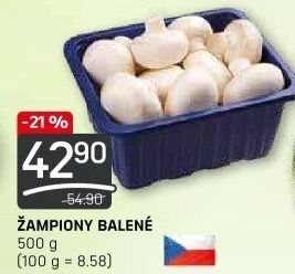 Žampiony