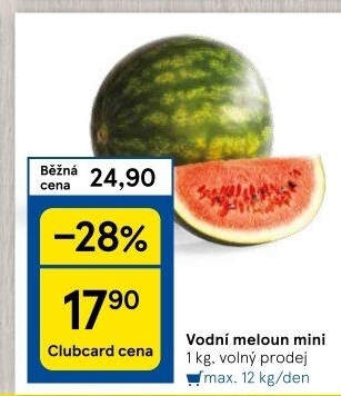 Meloun vodní Baby