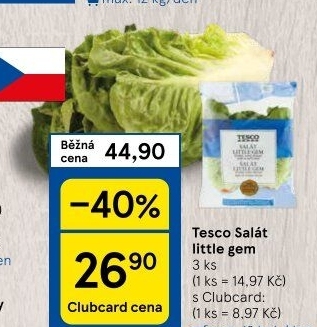 Salát little gem Tesco