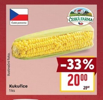 Kukuřice klas Česká farma