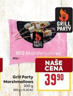 Marshmallow Grill Party