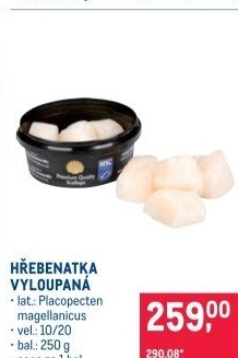 Hřebenatka MSC