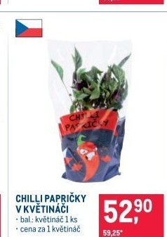 Rostlina Chilli