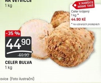 Celer bulva