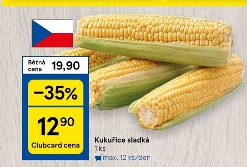 Kukuřice klas
