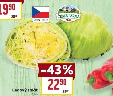 Salát ledový Česká farma