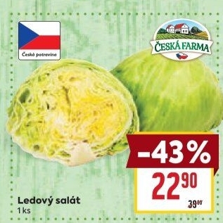 Salát ledový Česká farma