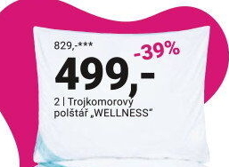 TROJKOMOROVÝ POLŠTÁŘ „WELLNESS“
