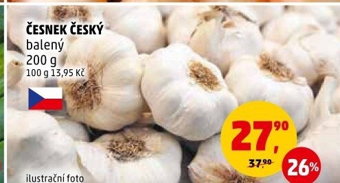 Česnek český