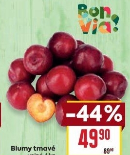 Blumy Billa Bonvia