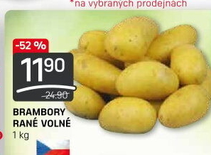 Brambory konzumní rané