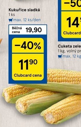 Kukuřice klas