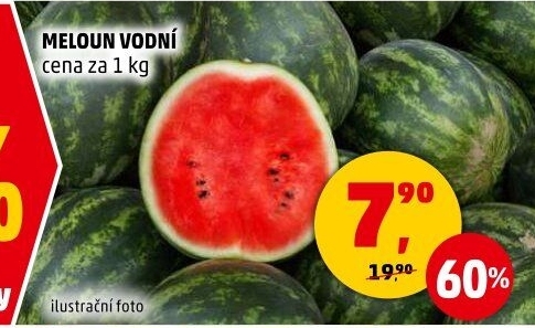 Meloun vodní