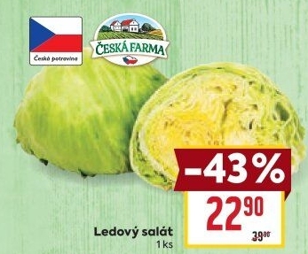 Salát ledový Česká farma