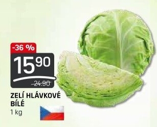Zelí hlávkové bílé