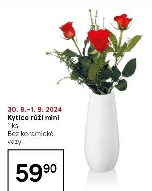 Řezané růže