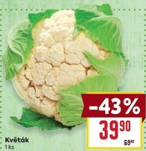 Květák
