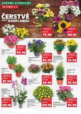 akční leták Kaufland 4.9.2024-10.9.2024