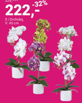 ORCHIDEJ