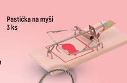 Past na myši