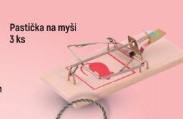 Past na myši