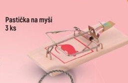 Past na myši