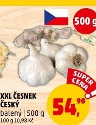 Česnek