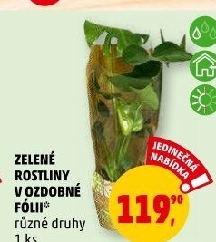 Mix zelených rostlin