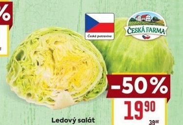 Salát ledový Česká farma
