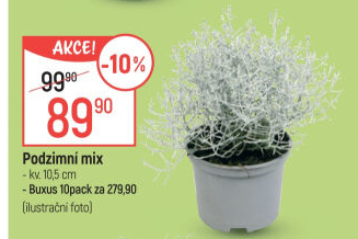 Mix rostlin