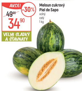Meloun Piel de Sapo