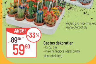 Kaktus