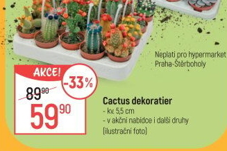 Kaktus