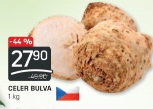 Celer bulva