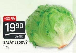 Salát ledový