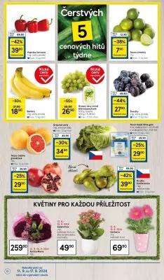 akční leták Tesco 11.9.2024-17.9.2024