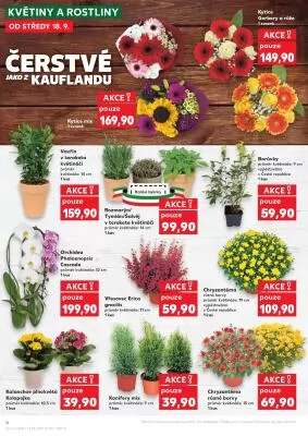 akční leták Kaufland 18.9.2024-24.9.2024