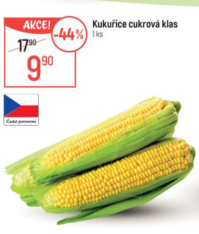 Kukuřice klas