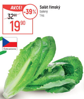 Salát římský